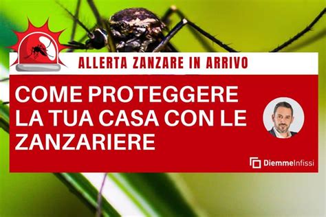 Allerta Zanzare In Arrivo Come Proteggere La Tua Casa Con Le