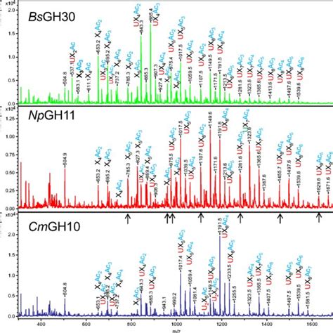 Maldi Tof Ms Analysis Of Oligosaccharides Released From Milled