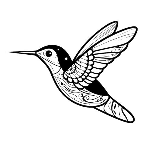 Illustration Vectorielle D oiseau Colibri Dessinée à La Main Dans Le