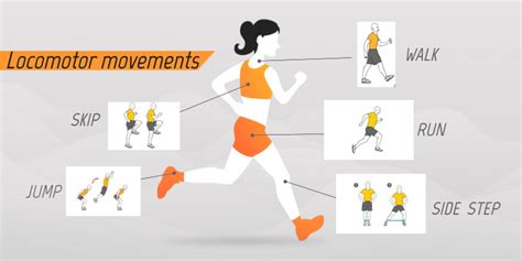 10 Examples Of Locomotor Movements