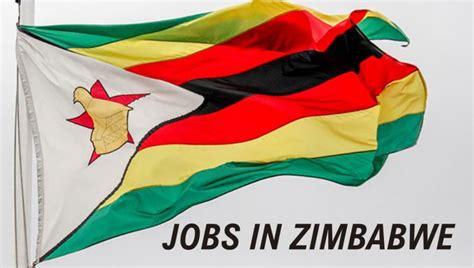 Jobs for Freshers & Professionals on LinkedIn: Zimbabwe Skill Shortage