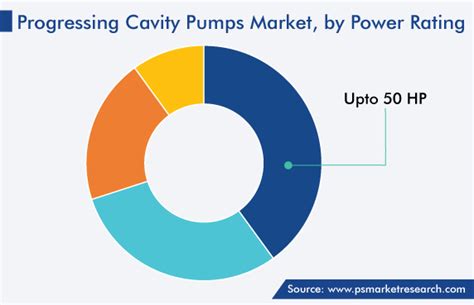 Progressing Cavity Pumps Market Size Growth Report