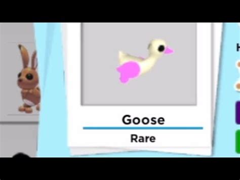 Mega Neon Goose Adopt Me Spring Fest Week Youtube