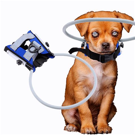 unforgivable trial Sophisticated halo dog harness field Descent Untouched