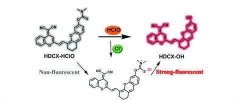 Sensing mechanism of HDCX-HClO to HClO. | Download Scientific Diagram