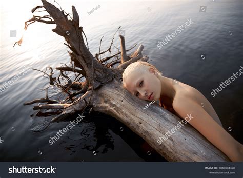 Nude Sexy Woman Water Sunset Beautiful Stock Photo 2049004478 Shutterstock