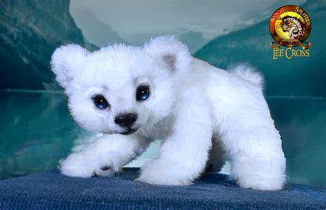 Meet Coconut The Baby Polar Bear Pet Wood Splitter Lee Cross