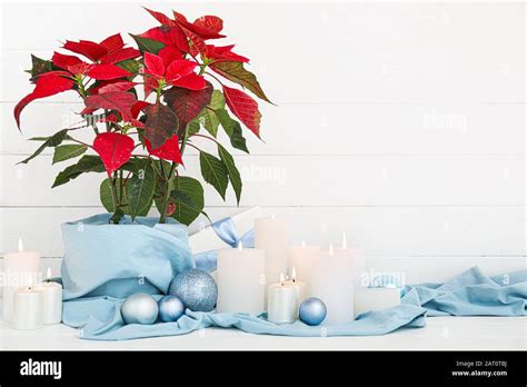 Christmas Plant Poinsettia With Decor And Candles On White Background