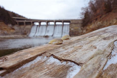 Rapidan Dam Shell By The River Aa Ron Flickr