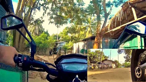 Цикады "Поющие Деревья" на Чанге. По Тайланду на мотоцикле - YouTube