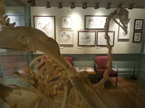 Discover Bucks Museum | Day Out With The Kids