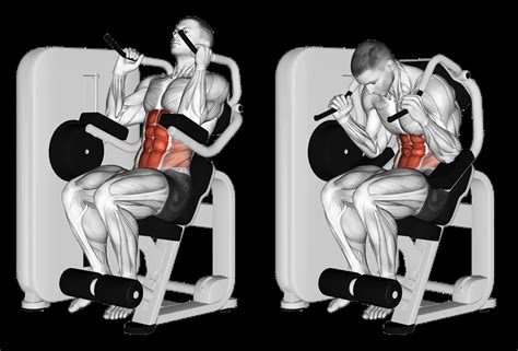 Machine Crunch: Guide, Muscles Worked, Tips | Athlemove