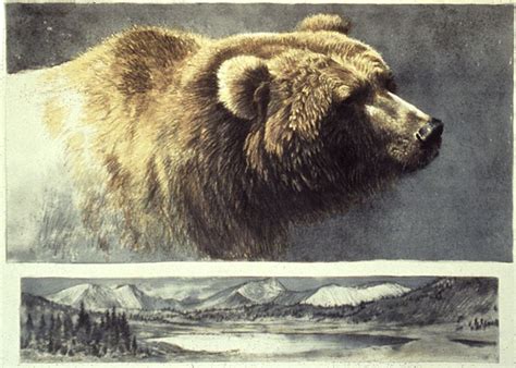 Robert Bateman - Paintings | Wildlife art, Wildlife artists, Wildlife ...