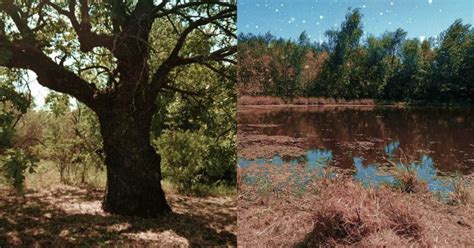 Савенков Николай Андреевич – Приволжье