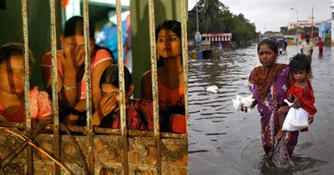 Sex Workers In Maharashtra Survived On One Meal A Day To Help Chennai Flood Victims