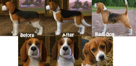 beagles cresties creations