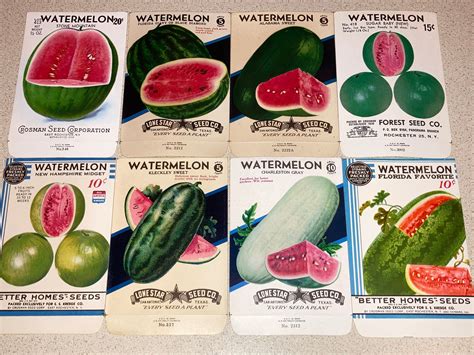 Watermelon Seeds Package