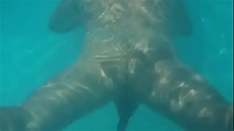 Gay Naked Resort Videos Porno Gay Sexo Gay