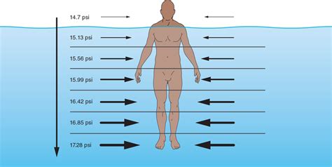 Physical Properties And Principles Of Water And Aquatic Exercise