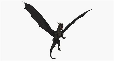 Black Dragon Flying