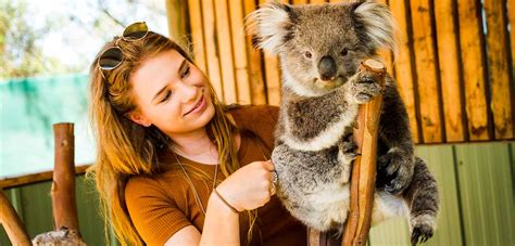Moonlit Sanctuary Wildlife Conservation park - Sydney Melbourne Touring