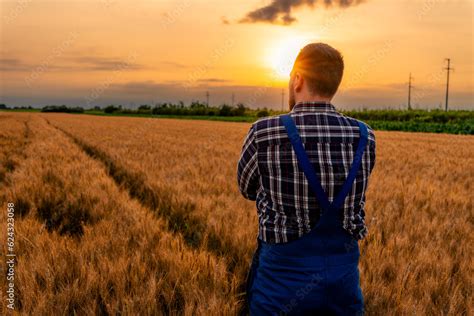 Foto De The Farmer Poses For A Photo In The Wheat Field Proud Of His