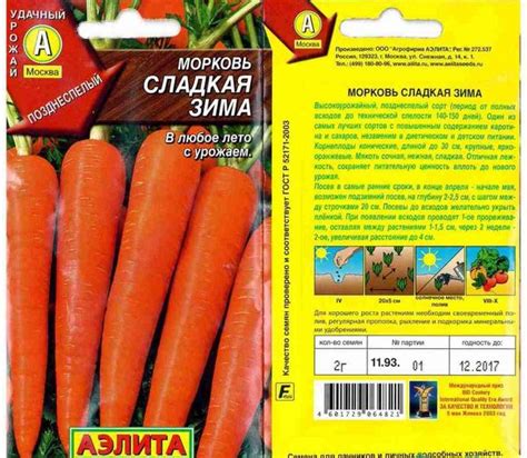 Сорта моркови: лучшие семена для Сибири, самые урожайные и морозостойкие