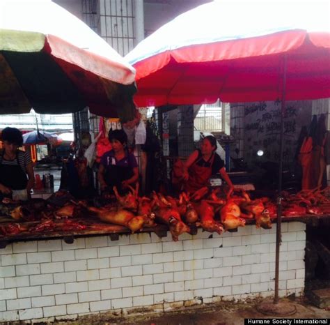 Dog Meat Festival Celebrating Summer Solstice Starts Early In Yulin