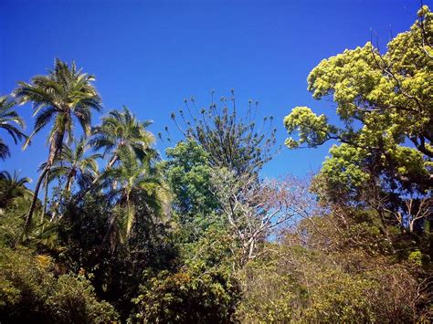 10 Secret Gardens In Cape Town You Must Visit