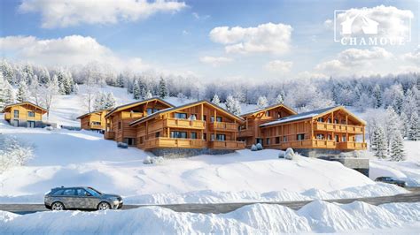 Vente dappartements neufs à la montagne l Immobilier neuf l ALPS LIVING