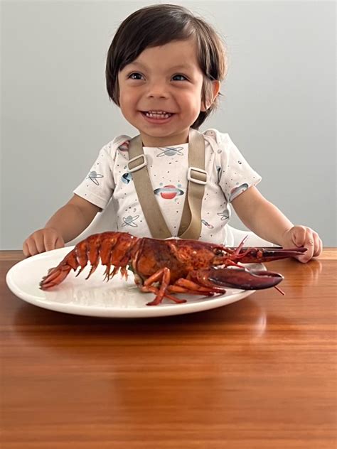 Lobster for Babies - Can my baby have shellfish? - Solid Starts