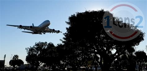 Lax Plane Spotting Park Trip Report