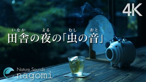 【睡眠用bgm自然音】田舎の夜の虫の声｜縁側でのんびりと聴く虫の声｜心地よい睡眠・癒し・リラックス｜自然音asmr Youtube