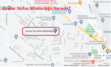 Stanbul Avc Lar N Fus M D Rl Telefon Adres Leti Im N Fus