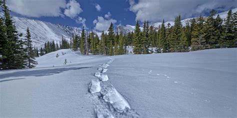 Colorado Snowshoeing | Snowshoe Trails and Rentals in CO - Uncover Colorado