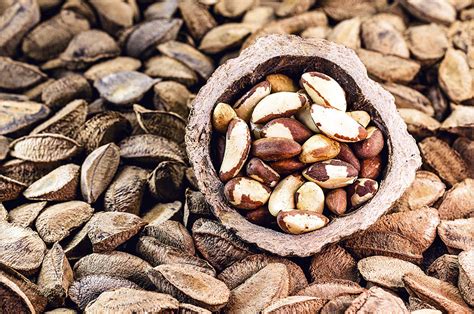 Castanha do pará é rica em gorduras boas e vitaminas benefícios