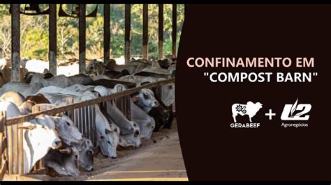 Confinamento Em Compost Barn Funciona YouTube