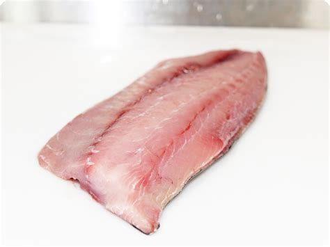 Yellowtail Amberjack Fillet (fresh, wild) by the pound – Big Alaska Seafood