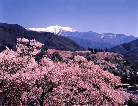 伊那市 長野県企業立地ガイド