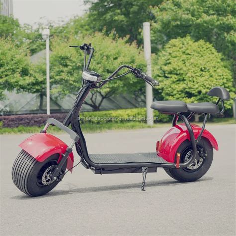 Citycoco Electrical Scooter Trike 2wheels Eec European Warehouse Stock