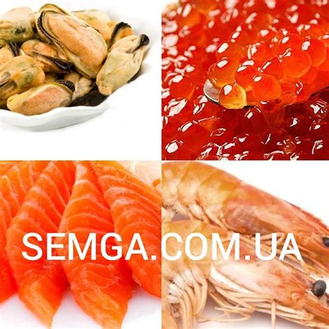 Ікра. Риба и Морепродукти - SEMGA - 2