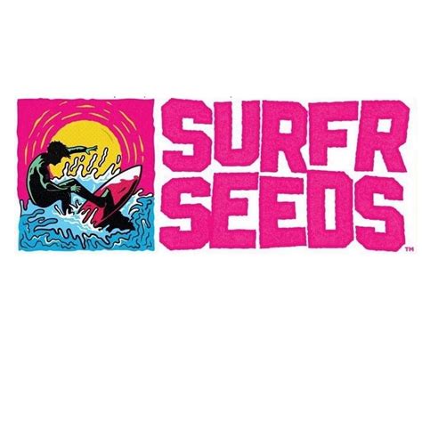 Surfr Seeds - Oil Tanker (Motorbreath 15 x Trophy Wife) - Heritage Seedbank