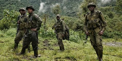 DRC: 14 NGOs accuse M23 rebels of looting in Virunga Park | Afrik 21