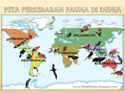 Peta Persebaran Fauna Dunia Funfetti