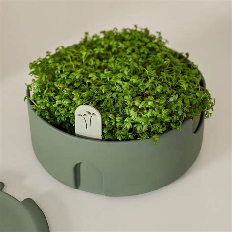 Buy Microgreens Magic Planter — The Worm That Turned Revitalising Your Outdoor Space