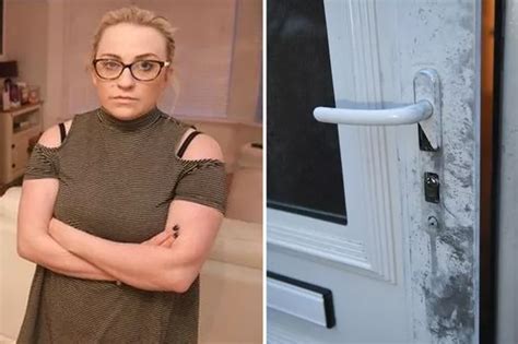 Davina Mccall Strips To Teeny Bikini As She Shows Off Epic Body Transformation Daily Star