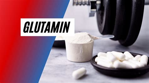🥇 Glutamin: Wirkung, Studien, Erfahrungen, Einnahme und Test