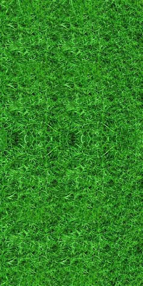 Green Grass Backdrop Computer Printed Photography Background Etsy Grass Backdrops Grass