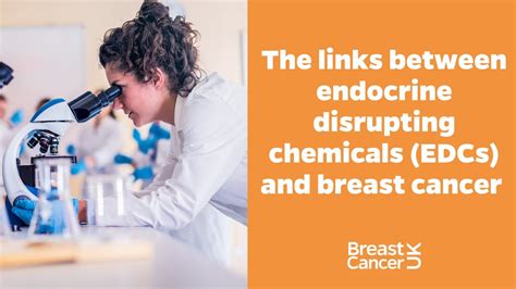 Breast Cancer Risk And Endocrine Disrupting Chemicals Edcs The Links