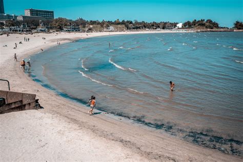 Casi Todas Las Playas De Montevideo Están Habilitadas Para Bañarse